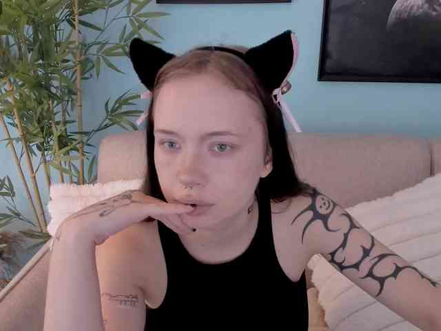 DragonFlya webcam