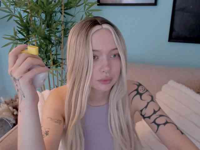 DragonFlya webcam