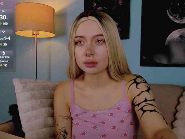 DragonFlya webcam