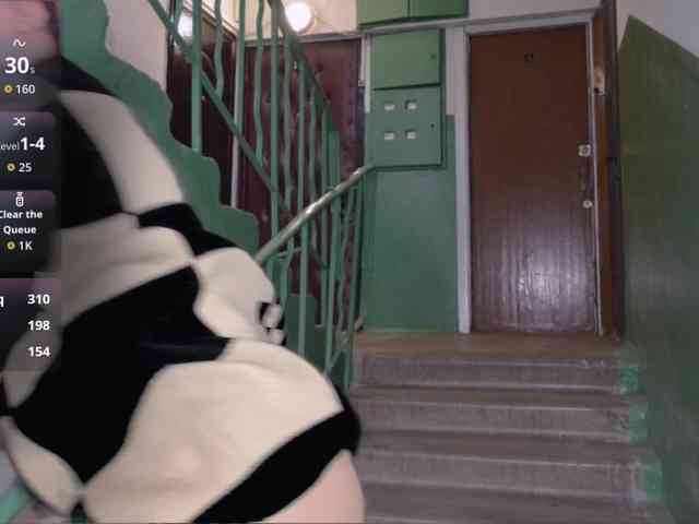 DragonFlya webcam