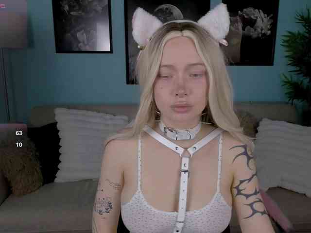 DragonFlya webcam