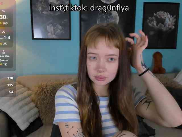 DragonFlya webcam