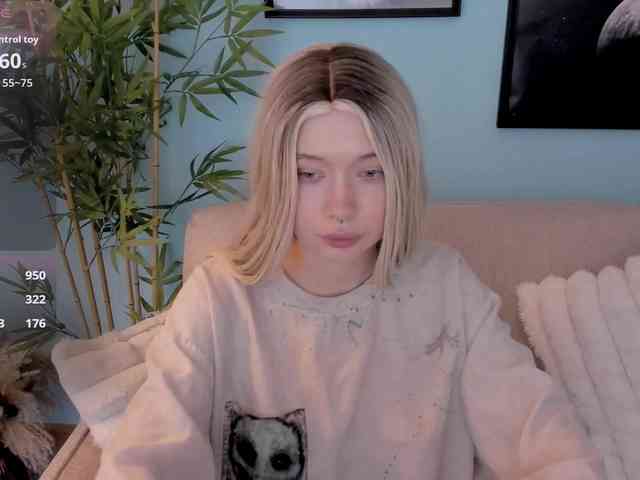 DragonFlya webcam