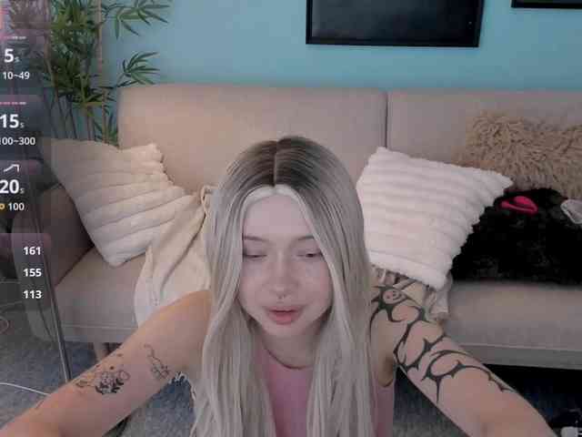 DragonFlya webcam