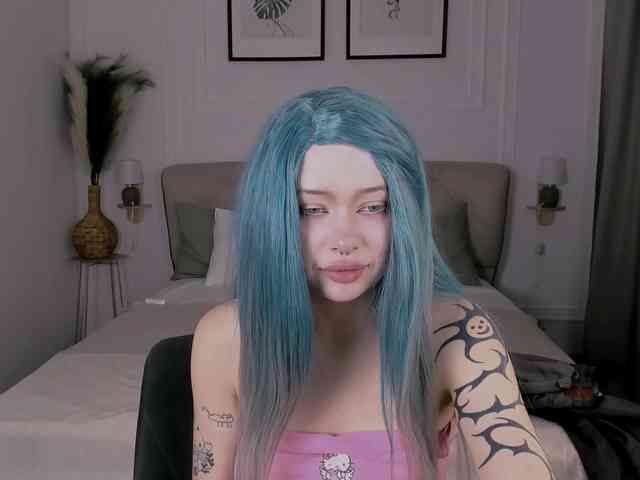 DragonFlya webcam