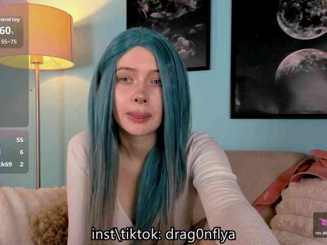 DragonFlya webcam