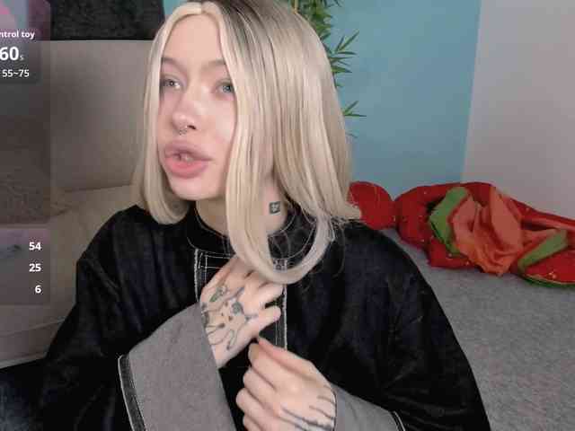 DragonFlya webcam