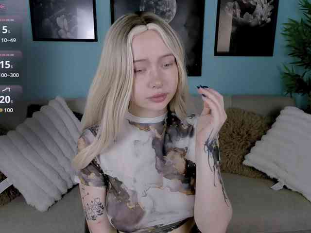 DragonFlya webcam