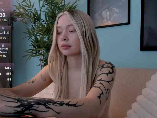 DragonFlya webcam