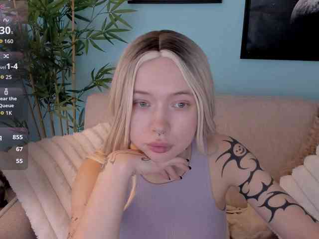 DragonFlya webcam