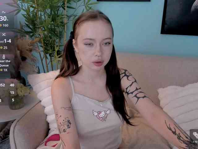 DragonFlya webcam