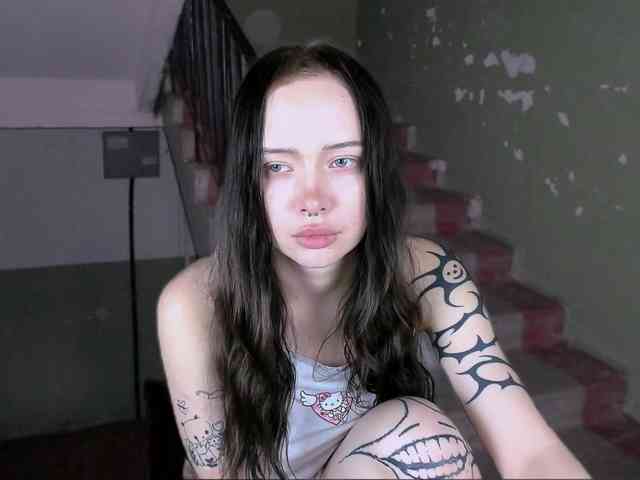 DragonFlya webcam