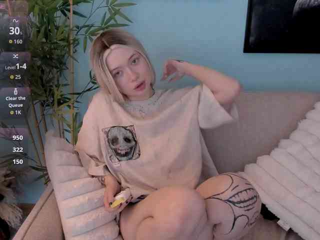 DragonFlya webcam