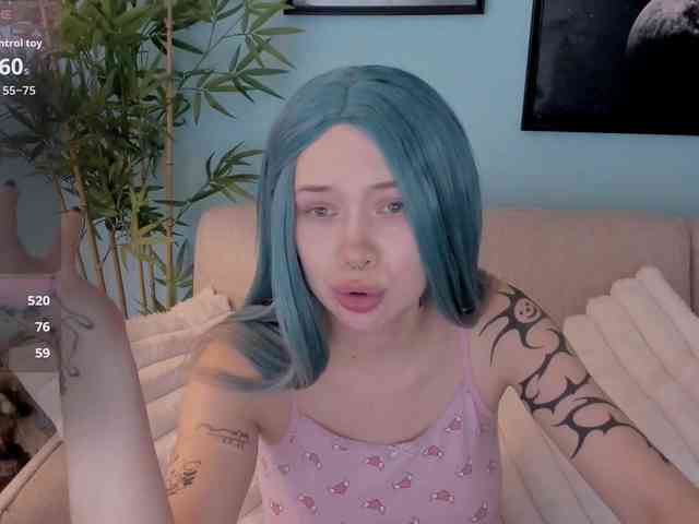 DragonFlya webcam