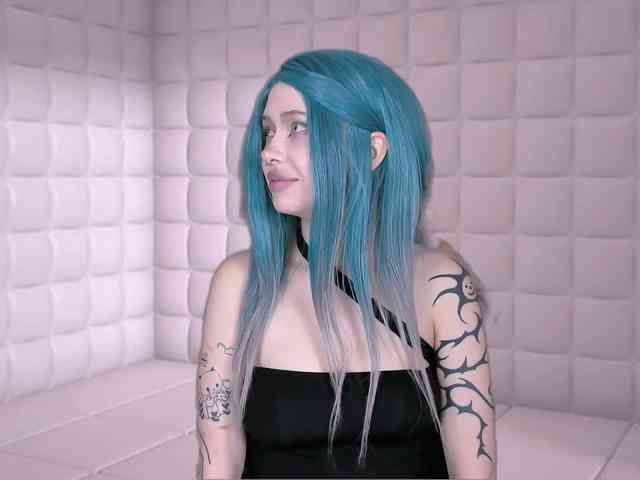 DragonFlya webcam