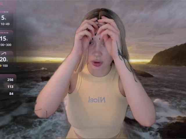 DragonFlya webcam