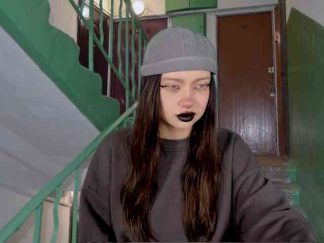 DragonFlya webcam
