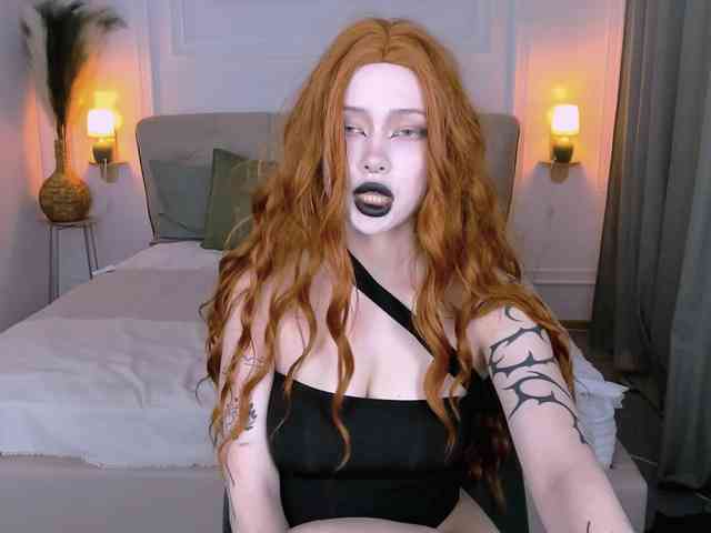 DragonFlya webcam