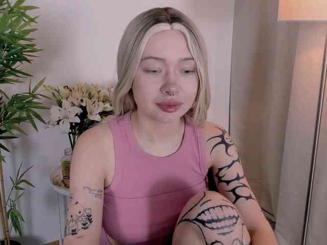 DragonFlya webcam
