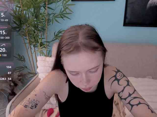 DragonFlya webcam