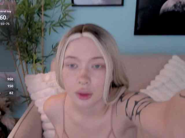 DragonFlya webcam