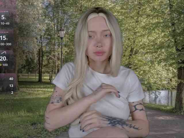DragonFlya webcam