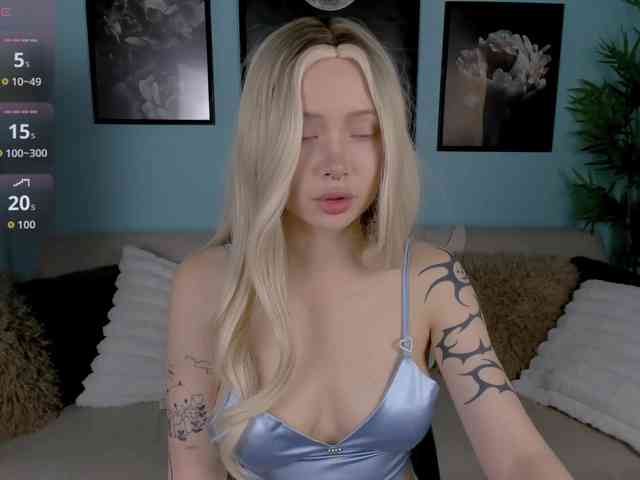 DragonFlya webcam