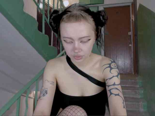 DragonFlya webcam