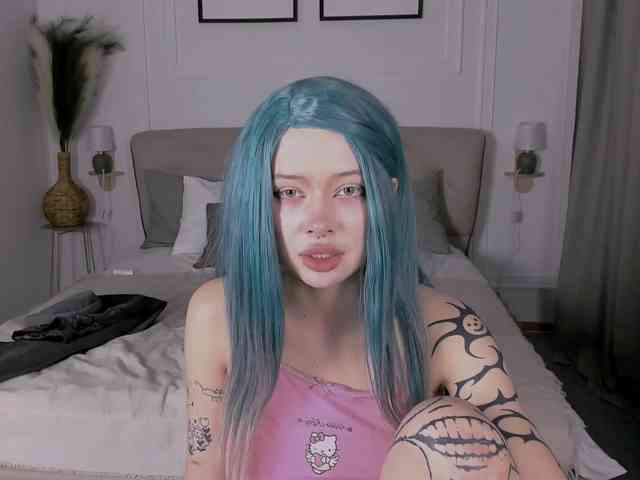 DragonFlya webcam