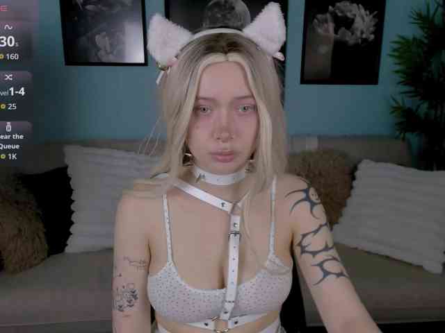DragonFlya webcam