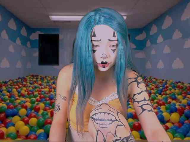 DragonFlya webcam