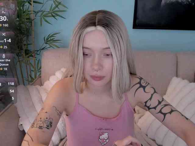 DragonFlya webcam