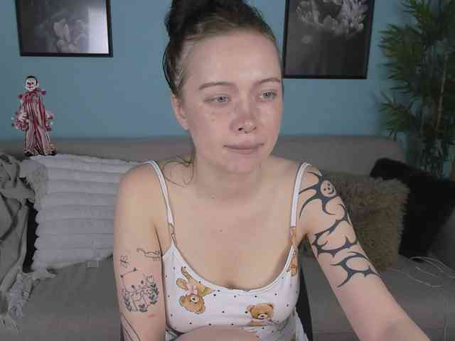 DragonFlya webcam
