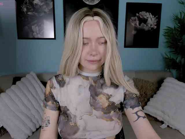 DragonFlya webcam
