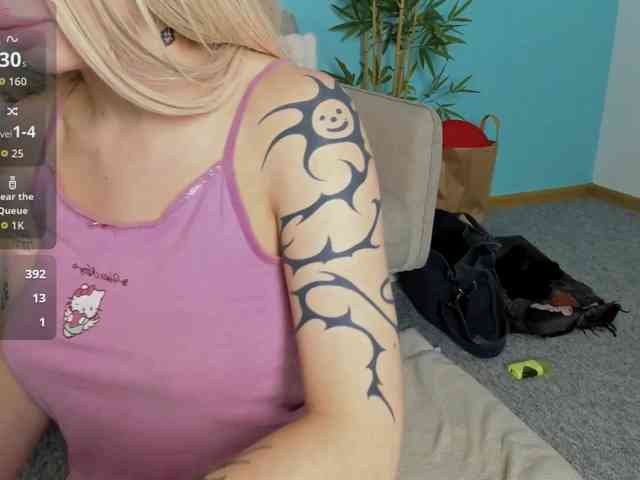DragonFlya webcam