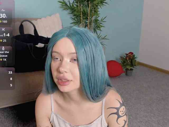 DragonFlya webcam