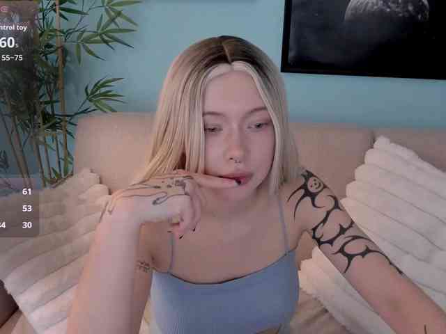 DragonFlya webcam
