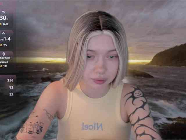 DragonFlya webcam