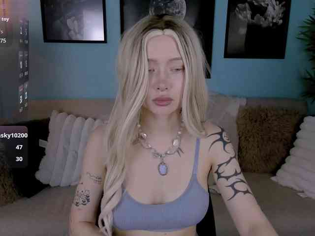 DragonFlya webcam