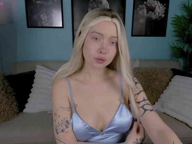 DragonFlya webcam