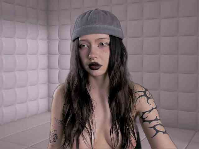 DragonFlya webcam