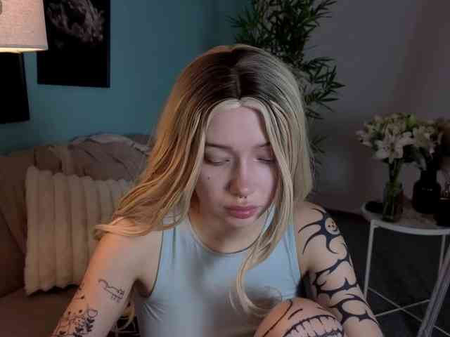 DragonFlya webcam