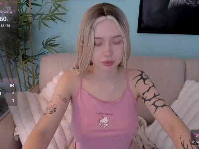 DragonFlya webcam