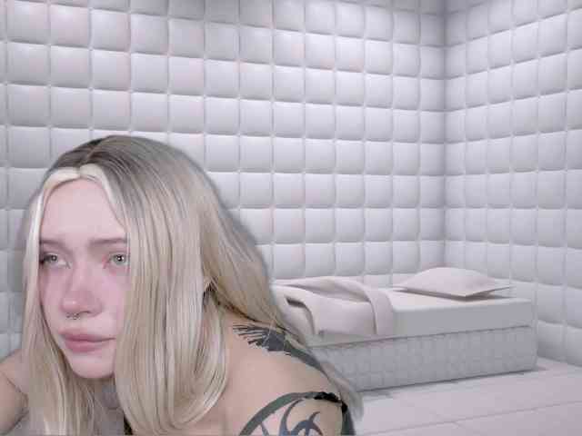 DragonFlya webcam