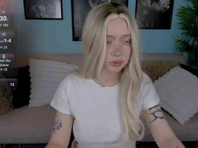 DragonFlya webcam