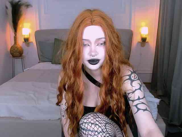 DragonFlya webcam