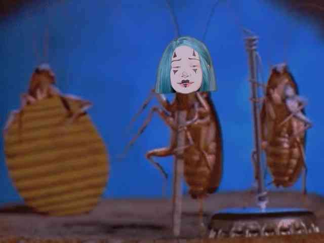 DragonFlya webcam