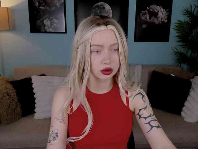 DragonFlya webcam