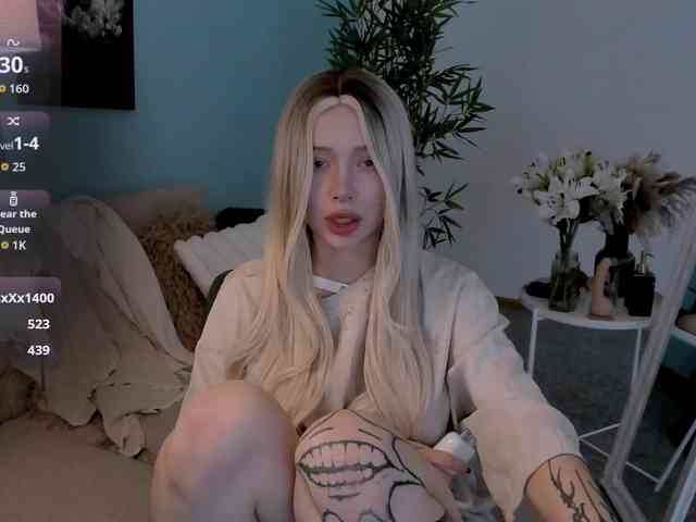 DragonFlya webcam