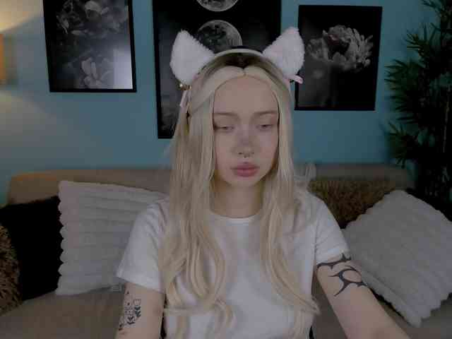 DragonFlya webcam